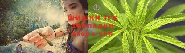 PSILOCYBIN Богородицк