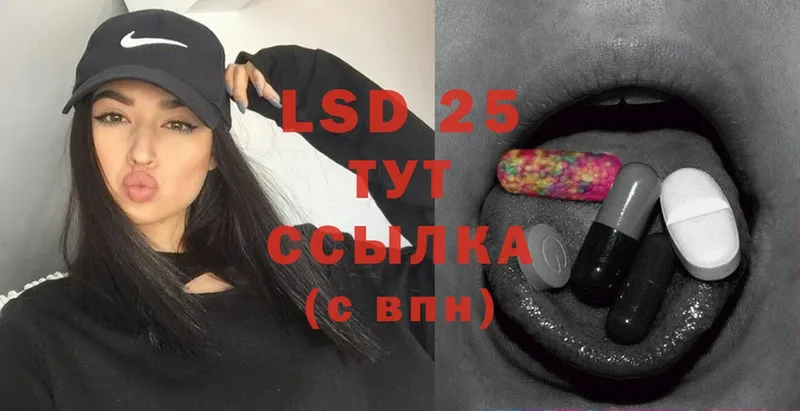 shop клад  Каргополь  LSD-25 экстази ecstasy 